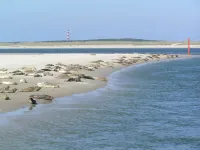 Sier Aan Zee Hotels in Hollum