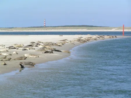 Sier Aan Zee Отели в г. Амеланд