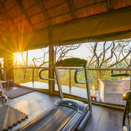 Ghoha Hills Savuti Lodge