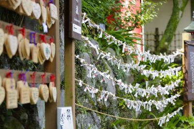 その他 箱根湯本温泉 天成園の写真