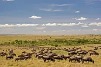 Mara Intrepids Tented Camp - 4-Star