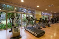 Elba Estepona Gran Hotel & Thalasso Spa - Gym