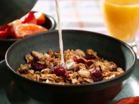 Lake Pointe Inn Hotels in Garrett County