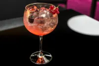 里斯本豐塔納公園希爾頓逸林酒店 - 酒吧