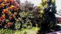 The Wilds Guest House
