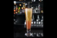薩拉曼卡希爾頓花園飯店 - 酒吧
