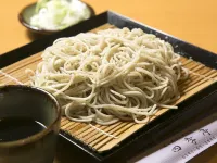 Ryugasaki Plaza Hotel Shinkan Hotels in Ryugasaki
