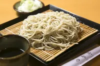 Ryugasaki Plaza Hotel Shinkan Hotels in Ryugasaki