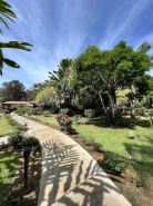 La Foresta Nature Resort