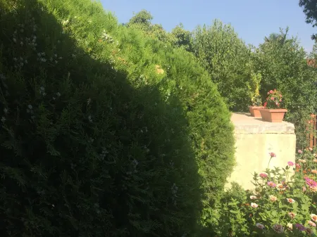 Hostel OldTown Отели в г. Подгорица