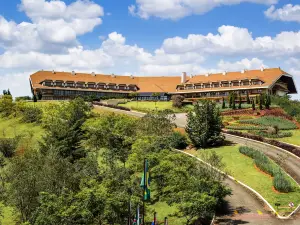 Bendito Cacao Resort & Spa
