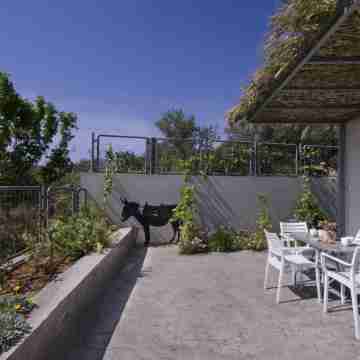 Kallimento Hotel Exterior