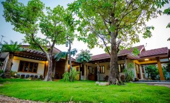 Tree Home Plus
