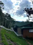 Vale Dourado Cabanas - Wifi