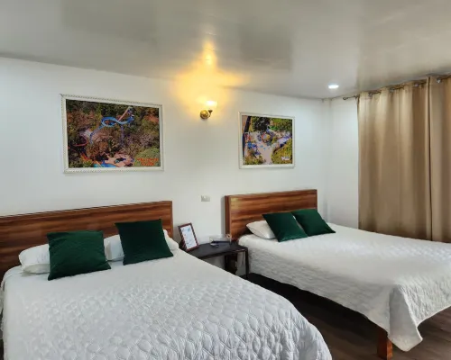 Wally World Inn Hotels in Comayagua