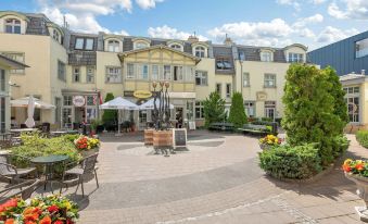 Grand Apartments - Lemon - Monte Cassino