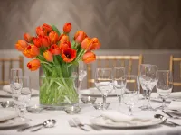 The Royal Sonesta Washington DC Dupont Circle Vaşington otelleri