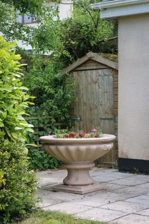 Charming Bungalow with countryside views, close to the South West Coast Path.