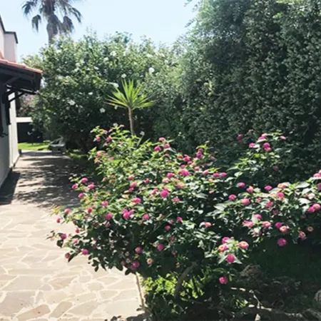 Villa with Swimming Pool and Near the Sea of Torre Dell'Orso