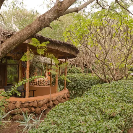 AMBOSELI SOPA LODGE Отели в г. Кимана