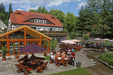 Hotel Boltenmühle Отели в г. Нойруппин