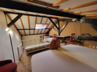 Vacacioneso o Negocios en Paris