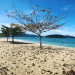 Recanto Amorim - Caraguatatuba Hotels near Praia massaguacu