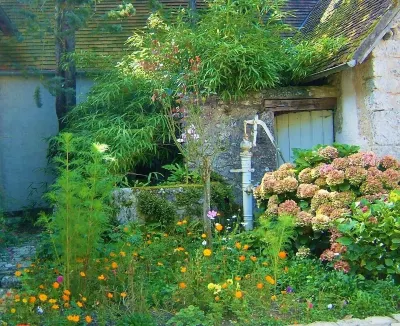 Le Vieux Pressoir (Old Winegrowers' House)