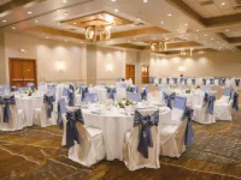 芝加哥西南布爾裏奇萬豪酒店 布爾里奇酒店