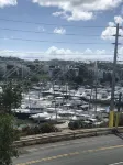 Nest by the Marina