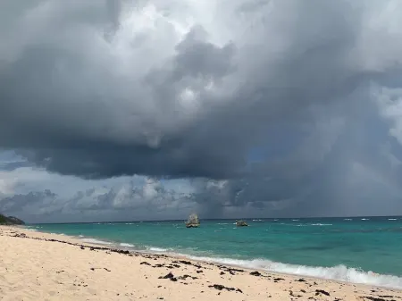 Charming , Comfortable  Cottage Near Amenities Отели рядом с достопримечательностью «Маяк Гиббс-Хилл»