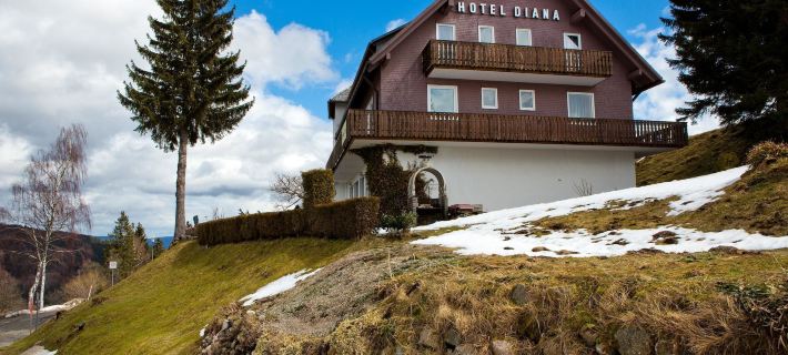 Hotel Diana Отели в г. Фельдберг