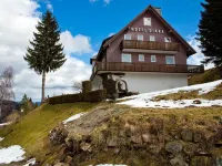 Hotel Diana Hotels in Feldberg