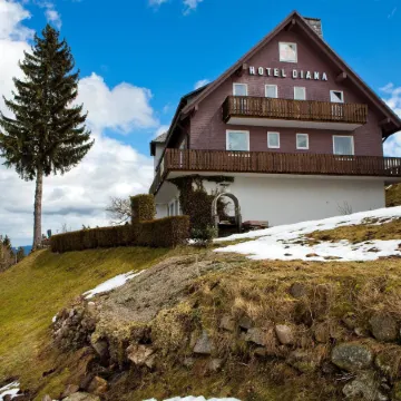 Hotel Diana