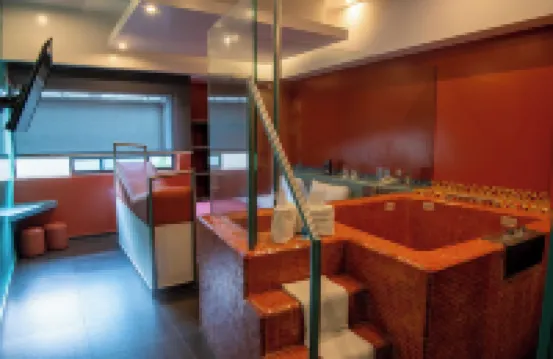 Hotel Tacubaya & Autosuites