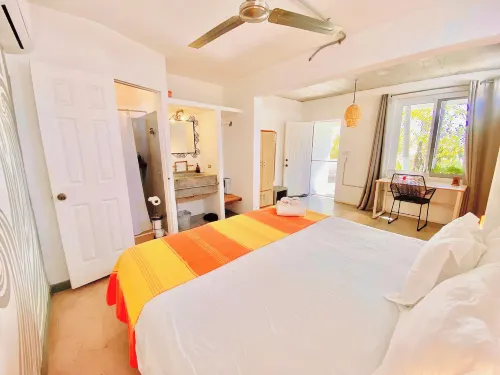 Perro Surfero Hotel Boutique - Todos Santos, Bcs