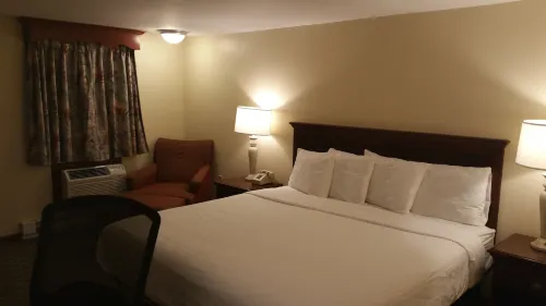 Dartmouth Motor Inn - Inns