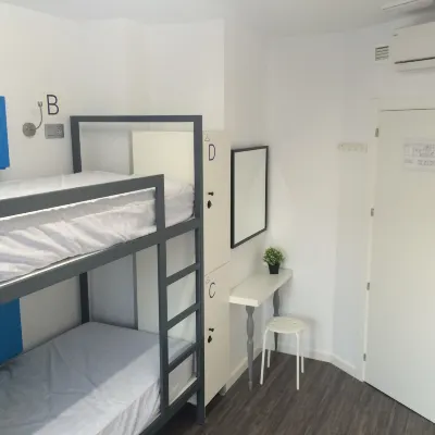 カメレオン ホステル アリカンテ駅周辺のホテル