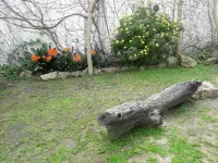 Casa del Arbol Hostel Hôtels à : 