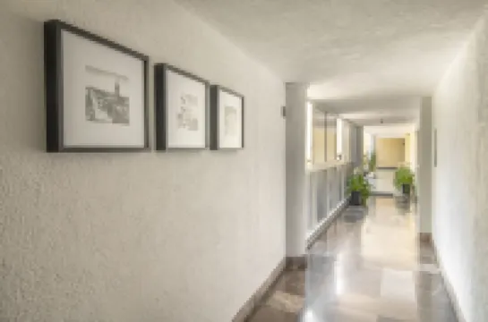 호텔 엠퍼라도르 센트로 과달라하라 이 에코노미코