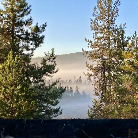 Dream Haven Guest Ranch