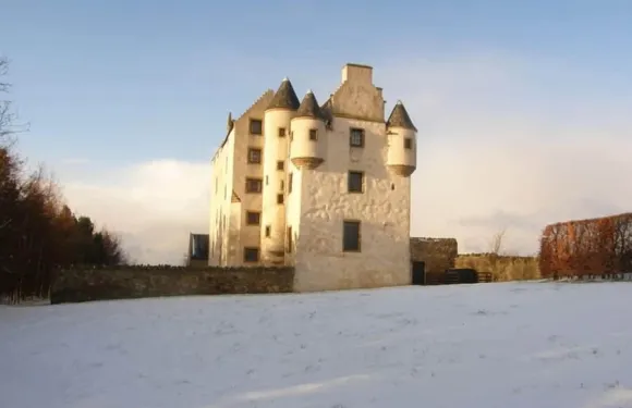 法賽德鄉村民宿