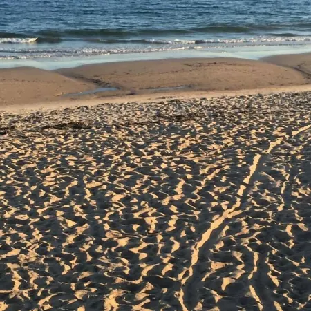 Misquamicut Beach Front Inn