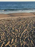Misquamicut Beach Front Inn - Bãi biển