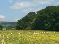Shellow Lane Lodges Hotels in Leek