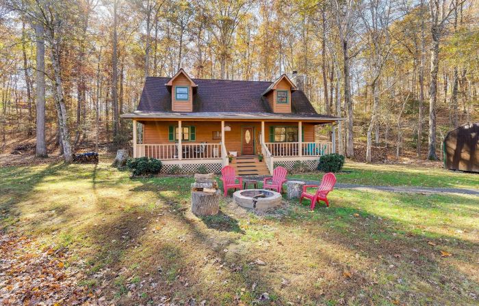 Smoky Mountain Cabin w/ Fire Pit: Hike & Fish!