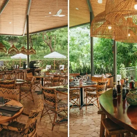 Suitree Experience Hotel