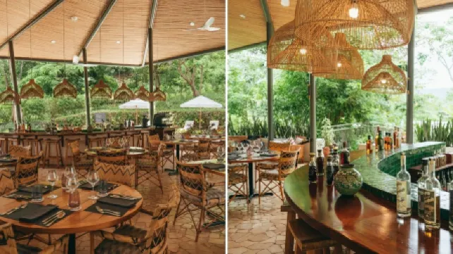 Suitree Experience Hotel