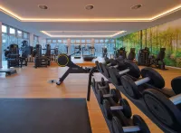 Dorint Resort & Spa Bad Brückenau - Gym