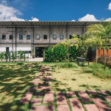 The Tree Sleep and Space